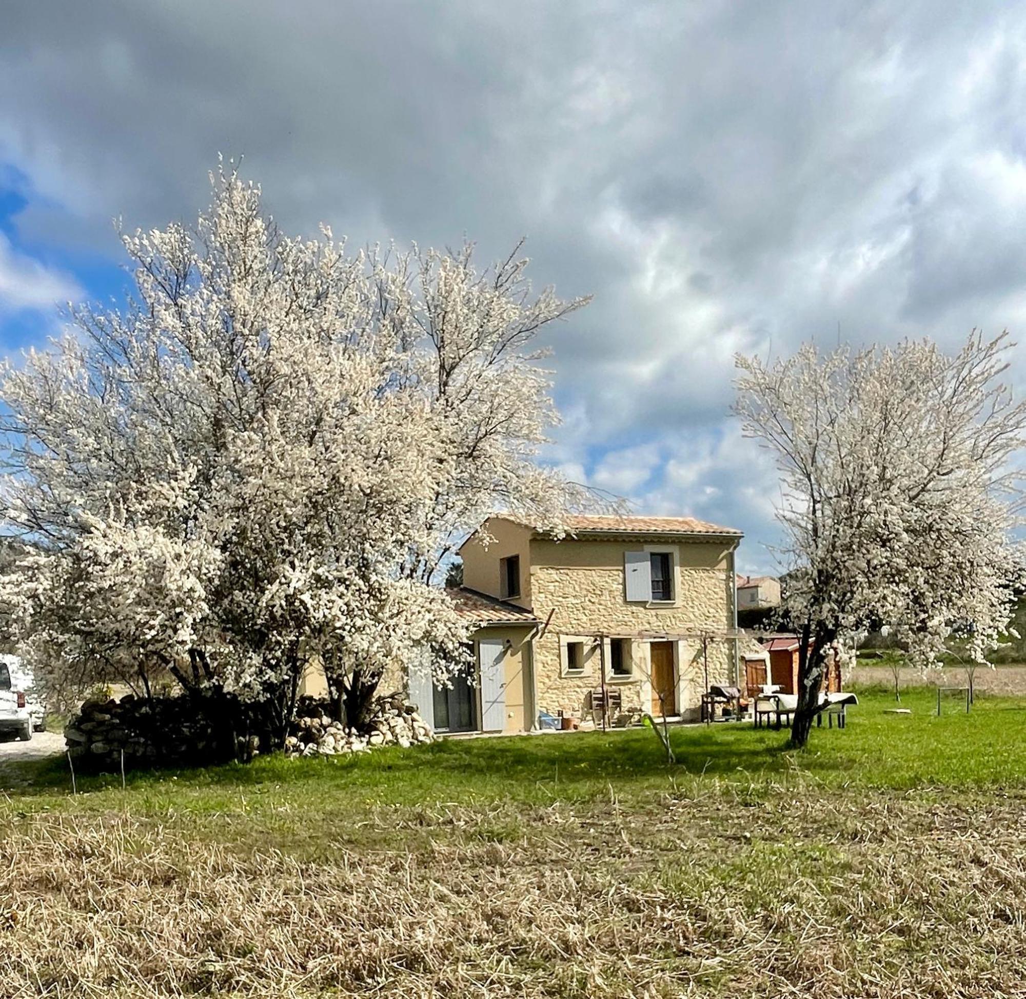 Le Petit Cabanon Provencal Villa Mane  Exterior photo